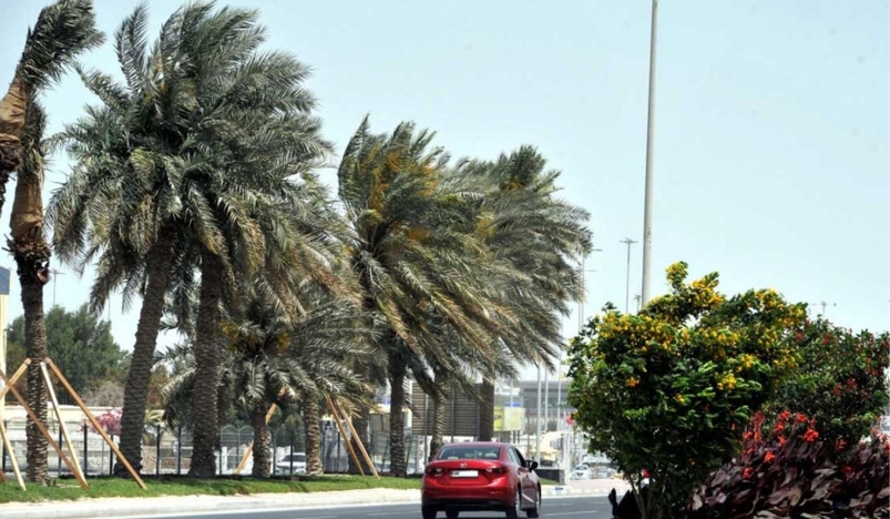Qatar issues weekend advisory as strong northwesterly winds expected